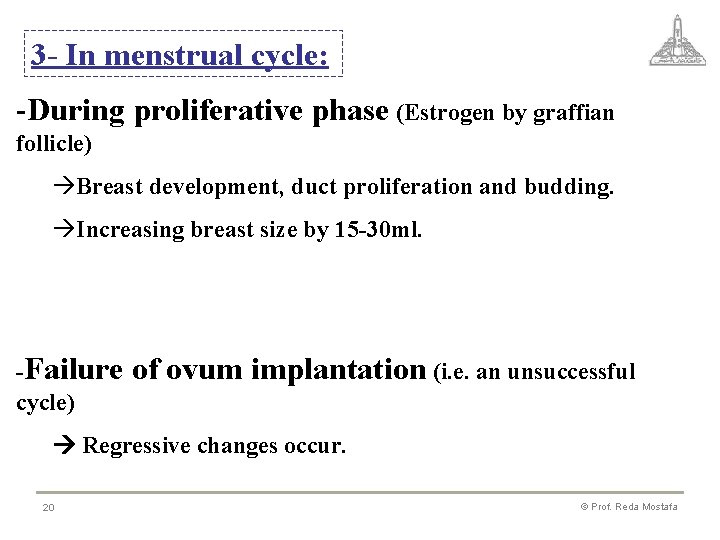 3 - In menstrual cycle: -During proliferative phase (Estrogen by graffian follicle) àBreast development,