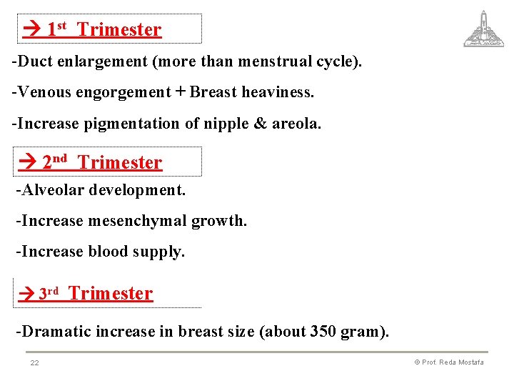  1 st Trimester -Duct enlargement (more than menstrual cycle). -Venous engorgement + Breast