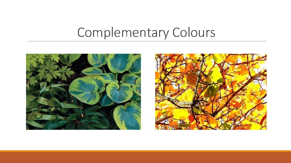 Complementary Colours 