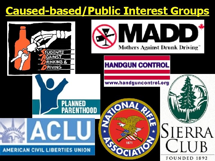 Caused-based/Public Interest Groups 
