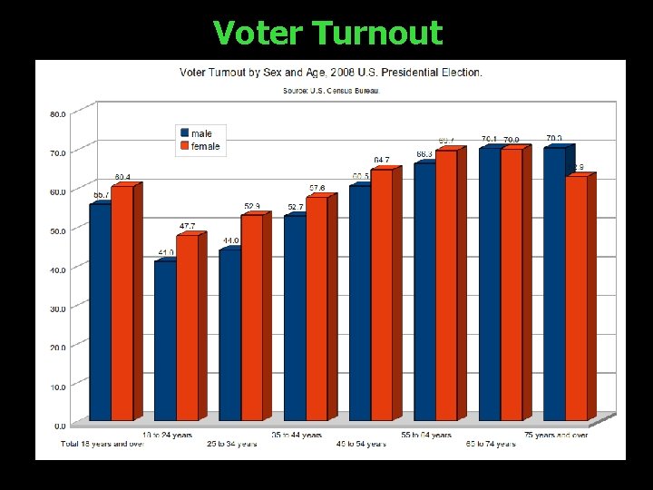 Voter Turnout 