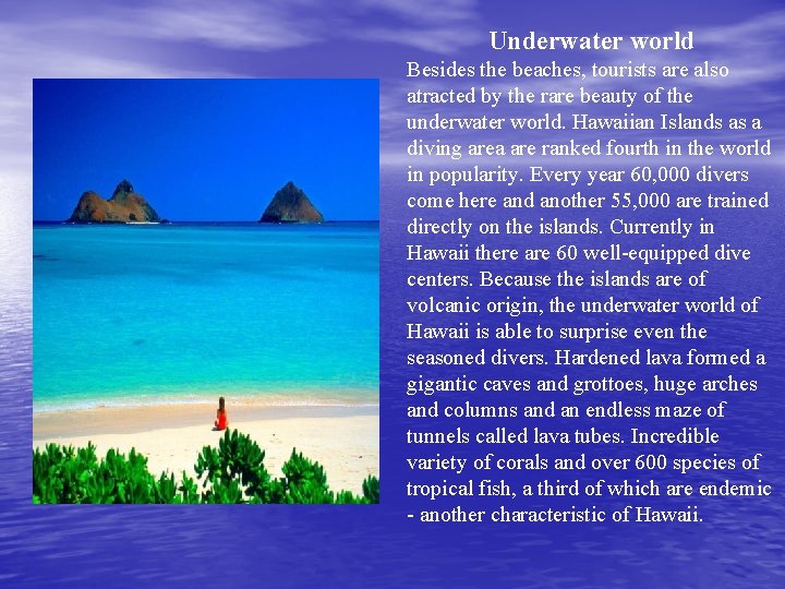 Underwater world Besides the beaches, tourists are also atracted by the rare beauty of