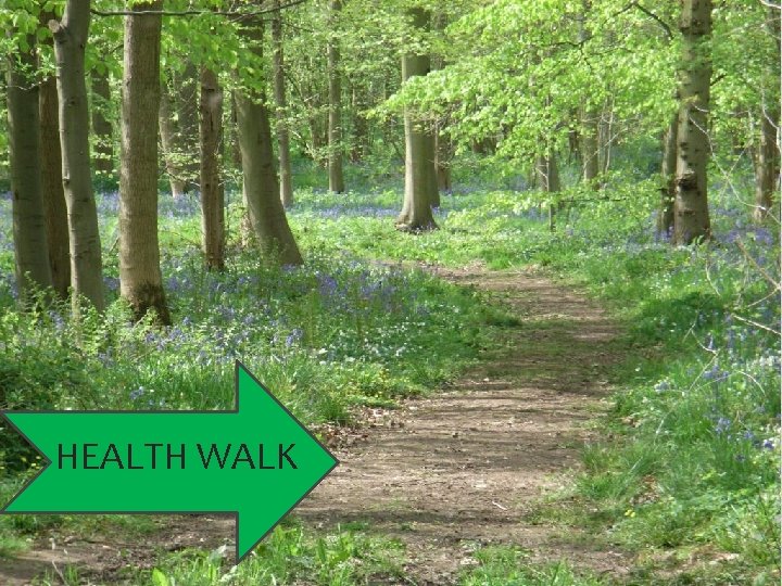 HEALTH WALK 