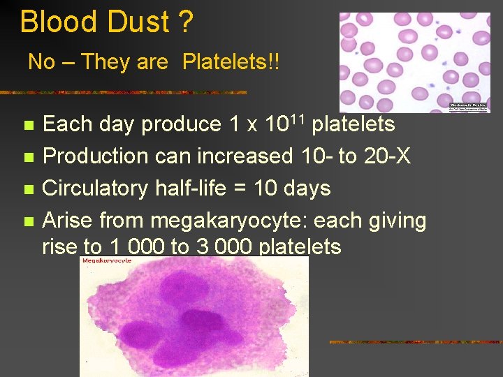 Blood Dust ? No – They are Platelets!! n n Each day produce 1