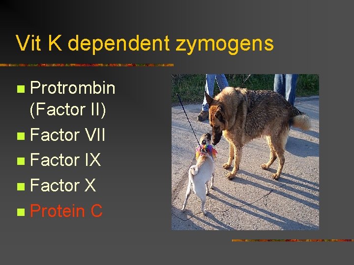 Vit K dependent zymogens Protrombin (Factor II) n Factor VII n Factor IX n