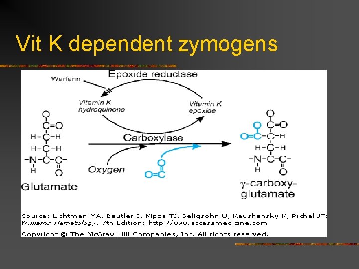 Vit K dependent zymogens 