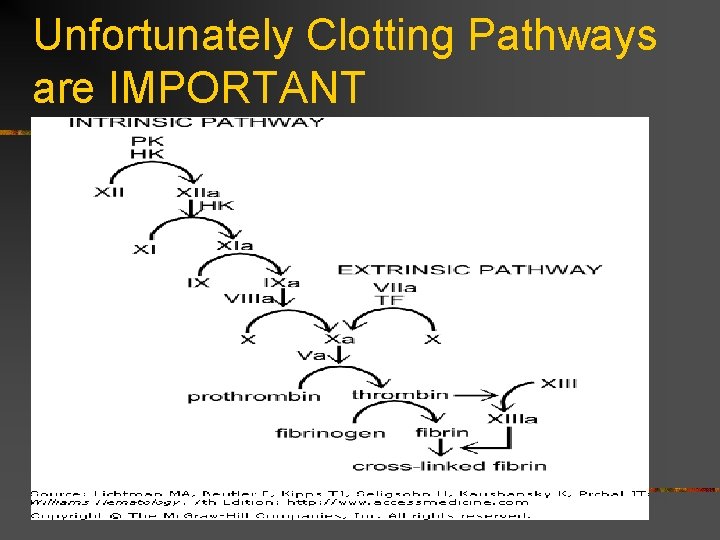 Unfortunately Clotting Pathways are IMPORTANT 