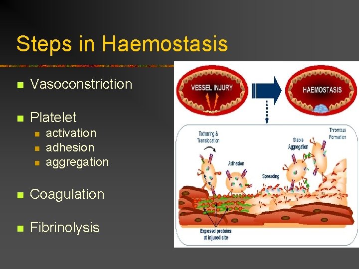 Steps in Haemostasis n Vasoconstriction n Platelet n n n activation adhesion aggregation n