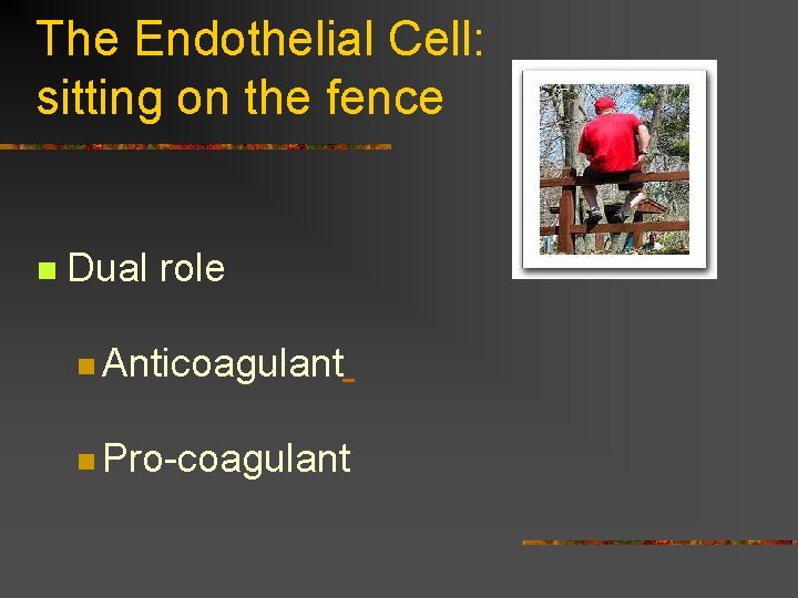 The Endothelial Cell: sitting on the fence n Dual role n Anticoagulant n Pro-coagulant