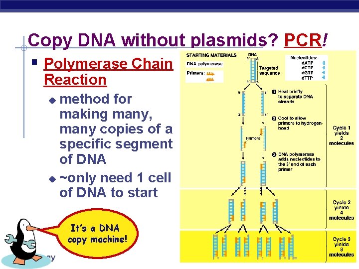 Copy DNA without plasmids? PCR! § Polymerase Chain Reaction method for making many, many