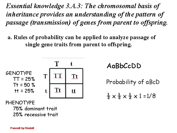 Essential knowledge 3. A. 3: The chromosomal basis of inheritance provides an understanding of