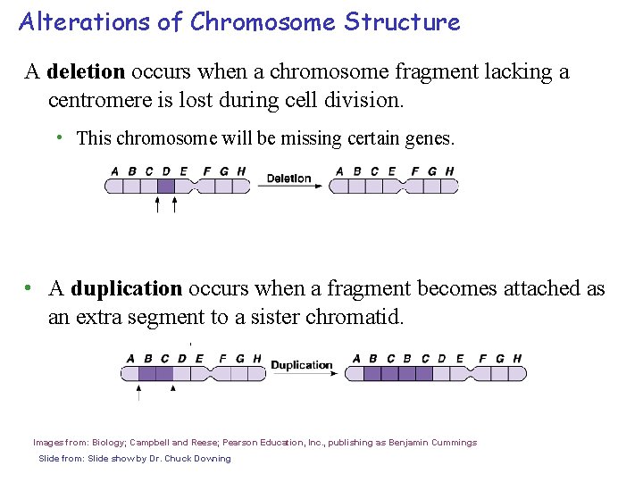 Alterations of Chromosome Structure A deletion occurs when a chromosome fragment lacking a centromere