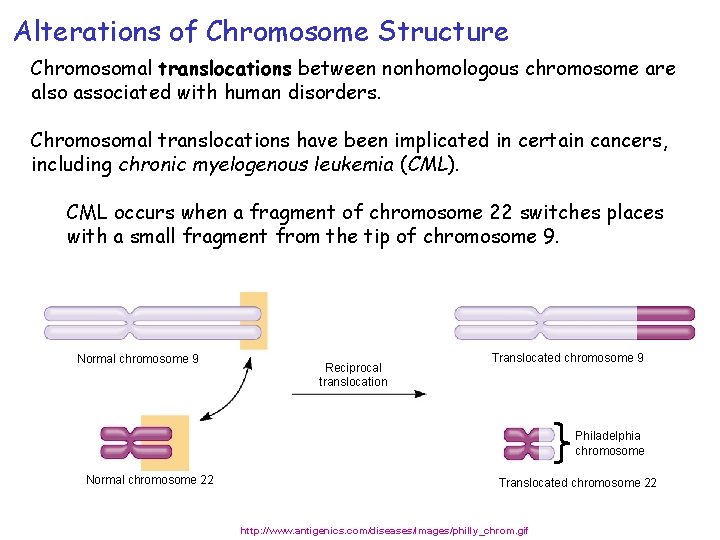 Alterations of Chromosome Structure Chromosomal translocations between nonhomologous chromosome are also associated with human