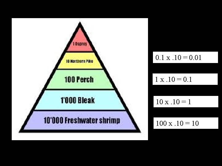 0. 1 x. 10 = 0. 01 1 x. 10 = 0. 1 10