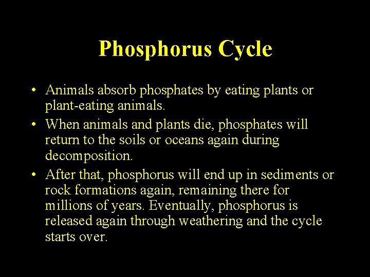 Phosphorus Cycle • Animals absorb phosphates by eating plants or plant-eating animals. • When