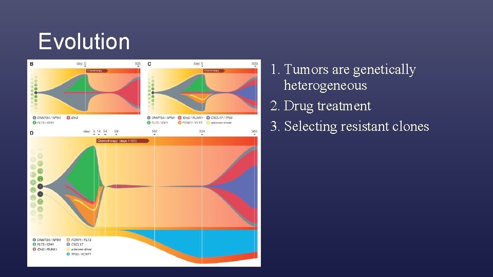 Evolution 1. Tumors are genetically heterogeneous 2. Drug treatment 3. Selecting resistant clones 