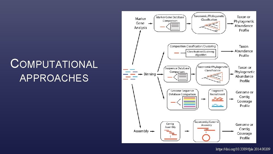 COMPUTATIONAL APPROACHES https: //doi. org/10. 3389/fpls. 2014. 00209 