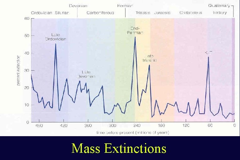 Mass Extinctions Mass Extinctions