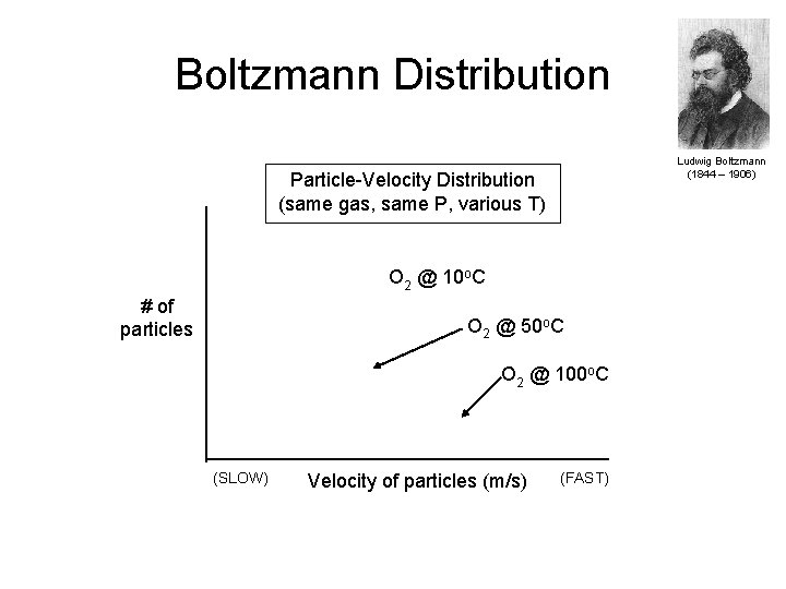 Boltzmann Distribution Ludwig Boltzmann (1844 – 1906) Particle-Velocity Distribution (same gas, same P, various