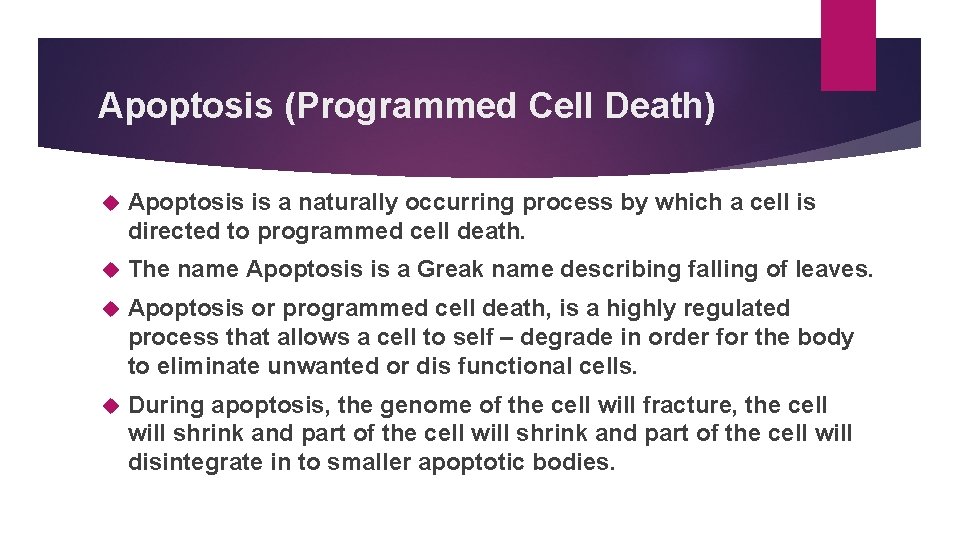 Apoptosis (Programmed Cell Death) Apoptosis is a naturally occurring process by which a cell
