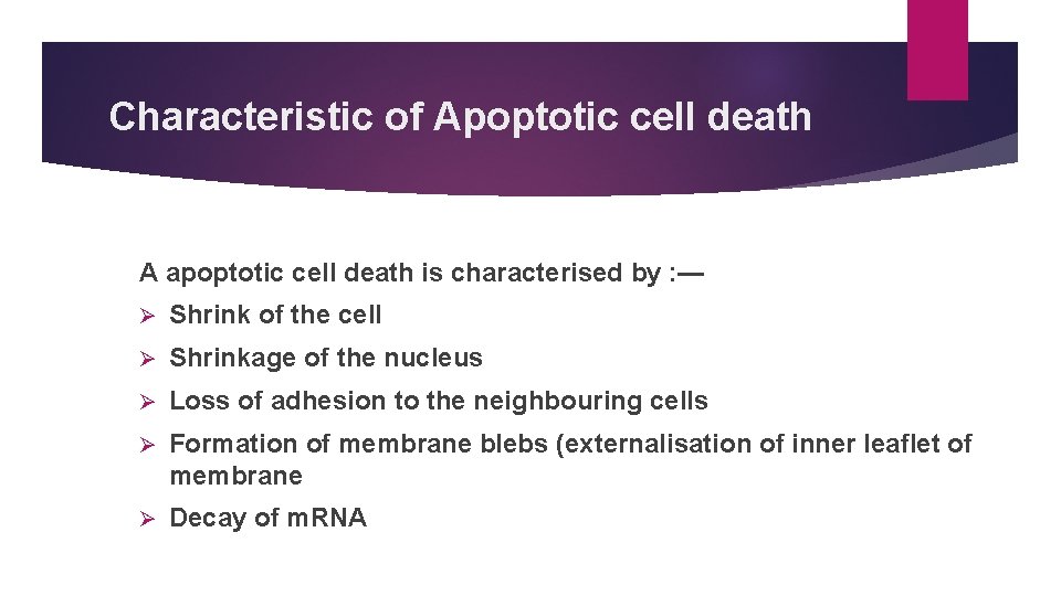 Characteristic of Apoptotic cell death A apoptotic cell death is characterised by : —
