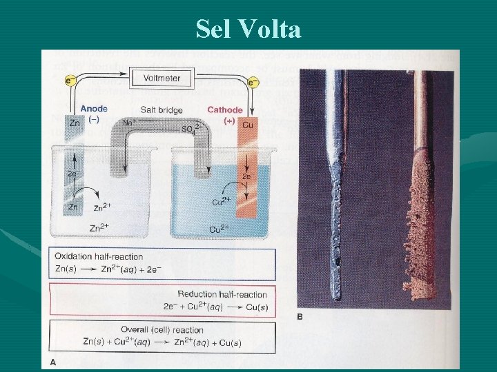 Sel Volta 