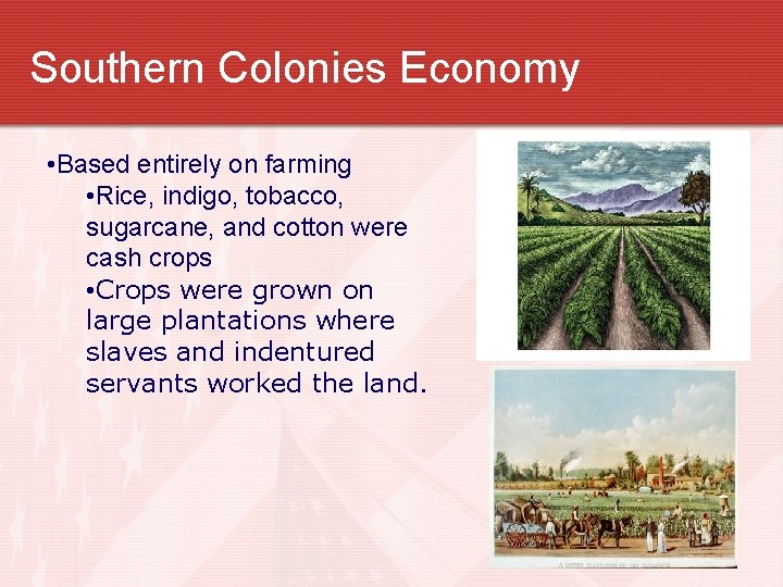 Southern Colonies Economy • Based entirely on farming • Rice, indigo, tobacco, sugarcane, and