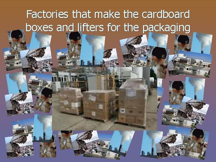 Factories that make the cardboard boxes and lifters for the packaging 