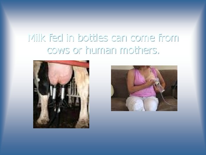 Milk fed in bottles can come from cows or human mothers. 