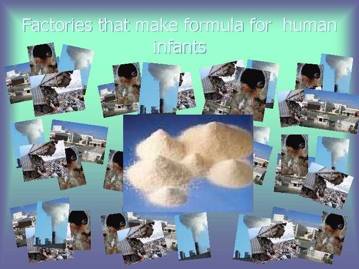 Factories that make formula for human infants 