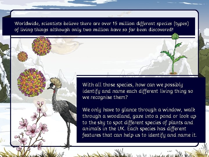 Worldwide, scientists believe there are over 15 million different species (types) of living things