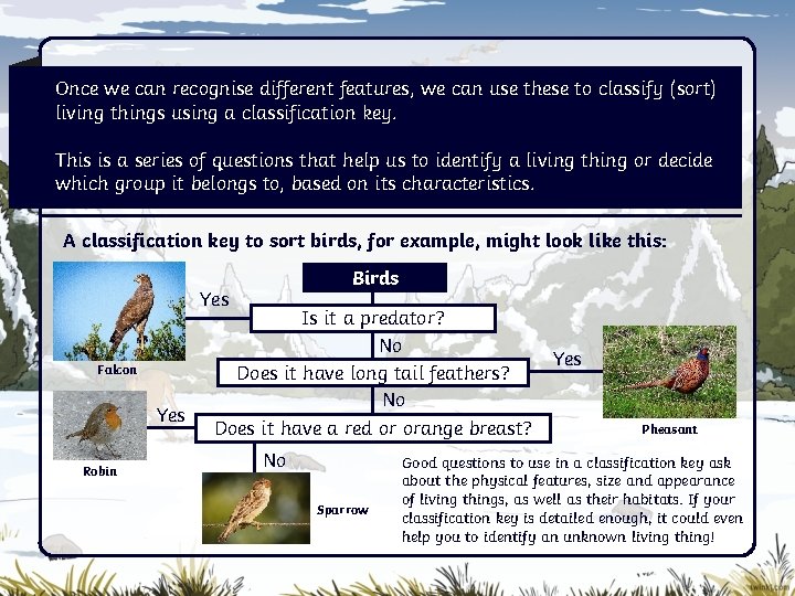 Once we can recognise different features, we can use these to classify (sort) living