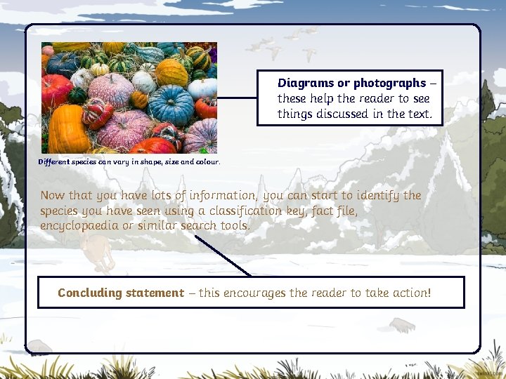 Diagrams or photographs – these help the reader to see things discussed in the