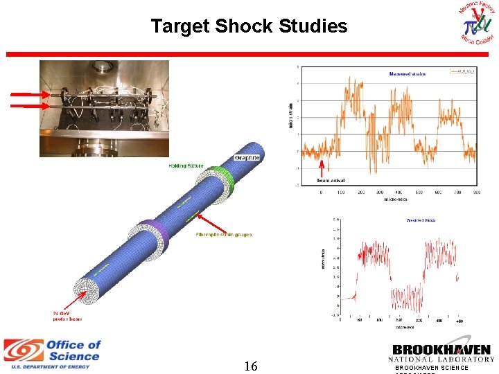 Target Shock Studies 16 BROOKHAVEN SCIENCE 