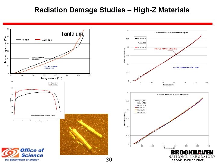 Radiation Damage Studies – High-Z Materials Tantalum 30 BROOKHAVEN SCIENCE 