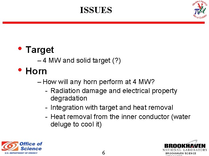 ISSUES • Target – 4 MW and solid target (? ) • Horn –