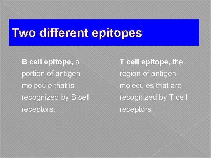 Two different epitopes B cell epitope, a T cell epitope, the portion of antigen