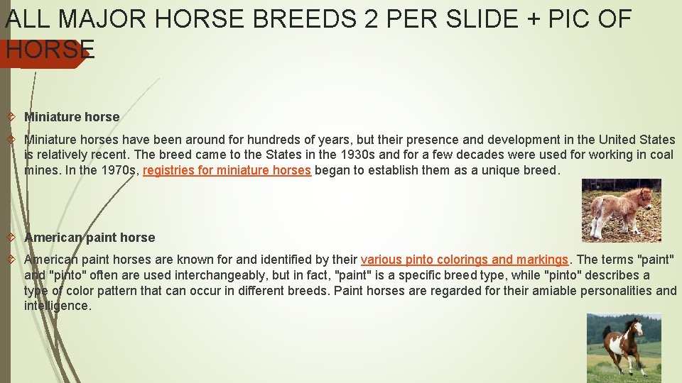 ALL MAJOR HORSE BREEDS 2 PER SLIDE + PIC OF HORSE Miniature horses have