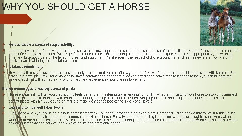 WHY YOU SHOULD GET A HORSE Horses teach a sense of responsibility. Learning how