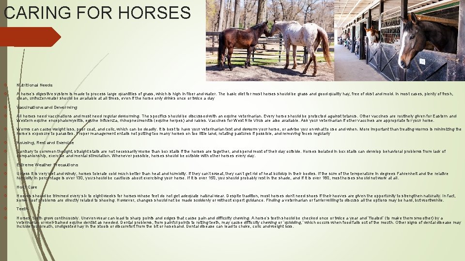 CARING FOR HORSES Nutritional Needs A horse’s digestive system is made to process large