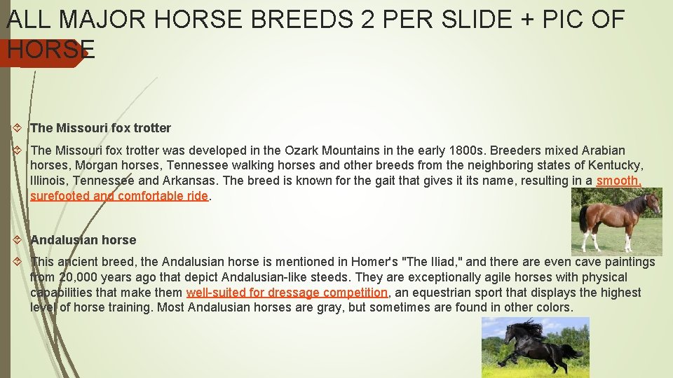 ALL MAJOR HORSE BREEDS 2 PER SLIDE + PIC OF HORSE The Missouri fox