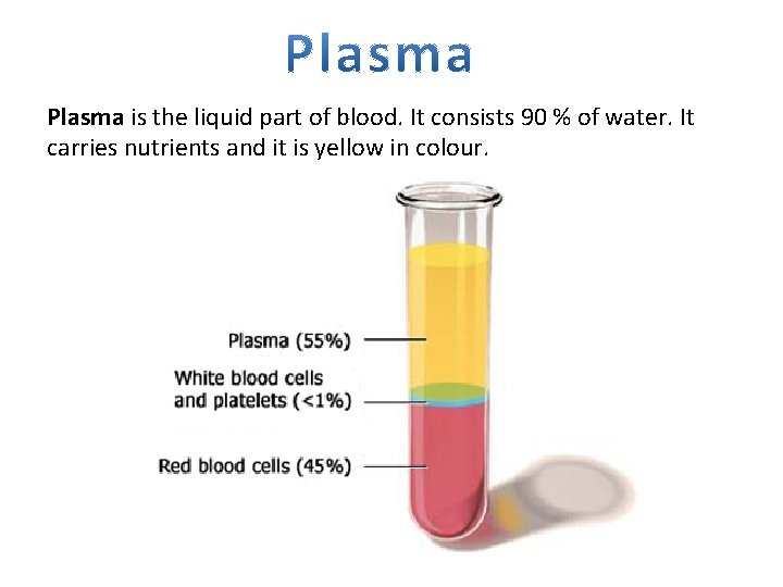 Plasma is the liquid part of blood. It consists 90 % of water. It