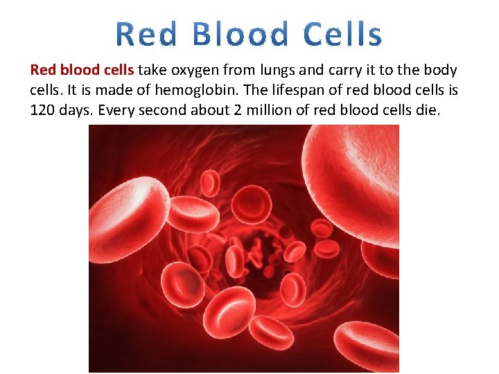 Red blood cells take oxygen from lungs and carry it to the body cells.