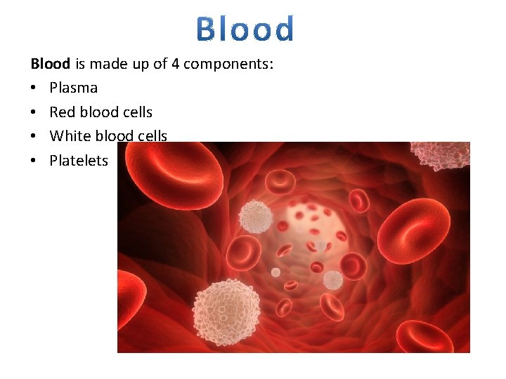 Blood is made up of 4 components: • Plasma • Red blood cells •