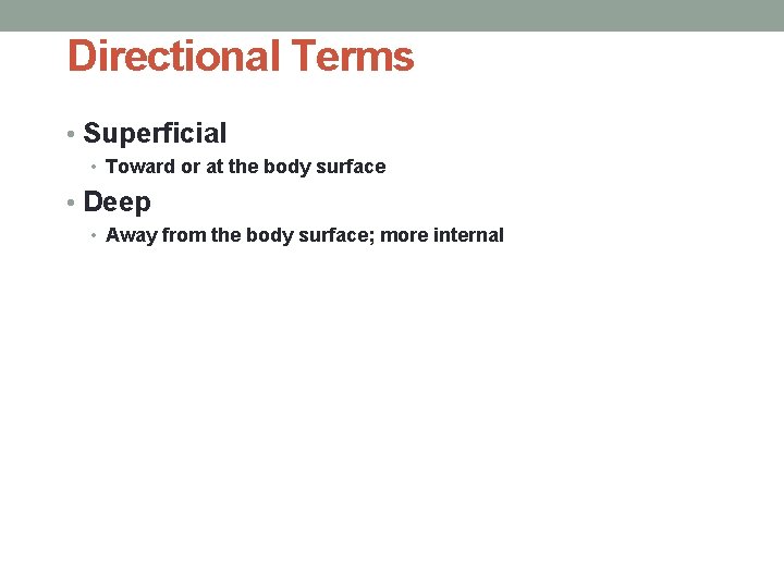 Directional Terms • Superficial • Toward or at the body surface • Deep •
