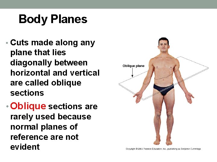 Body Planes • Cuts made along any plane that lies diagonally between horizontal and