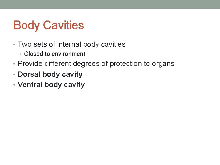 Body Cavities • Two sets of internal body cavities • Closed to environment •