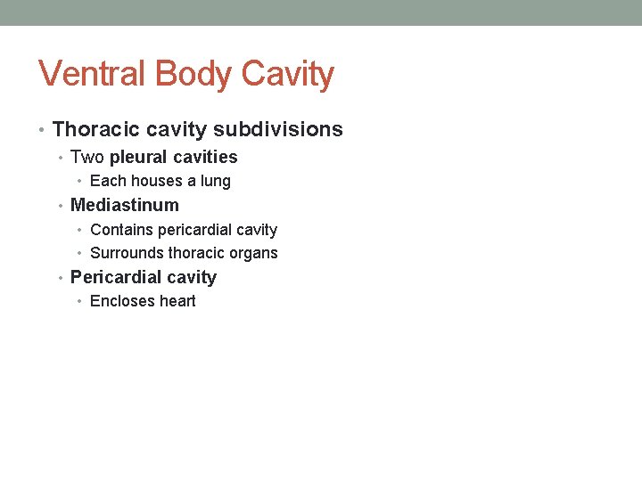 Ventral Body Cavity • Thoracic cavity subdivisions • Two pleural cavities • Each houses