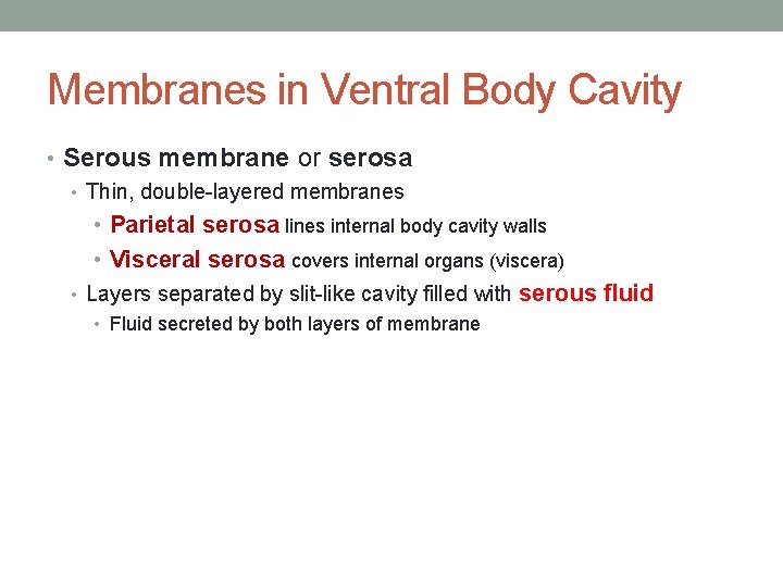 Membranes in Ventral Body Cavity • Serous membrane or serosa • Thin, double-layered membranes