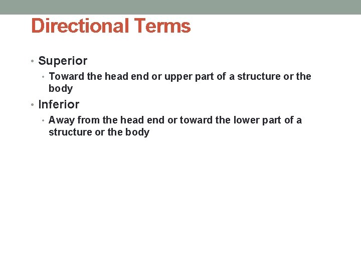 Directional Terms • Superior • Toward the head end or upper part of a